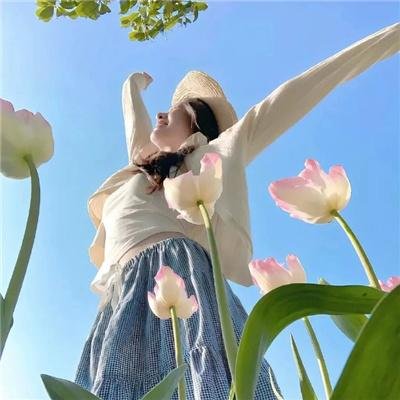 从天而降驸马爷